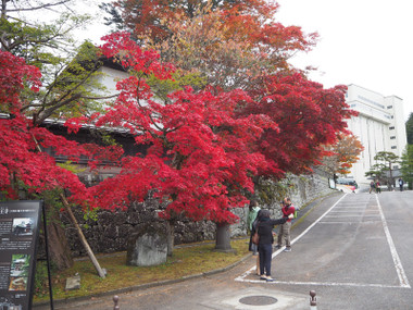 世界遺産「日光の社寺」紅葉情報・終章_a0320705_16154132.jpg