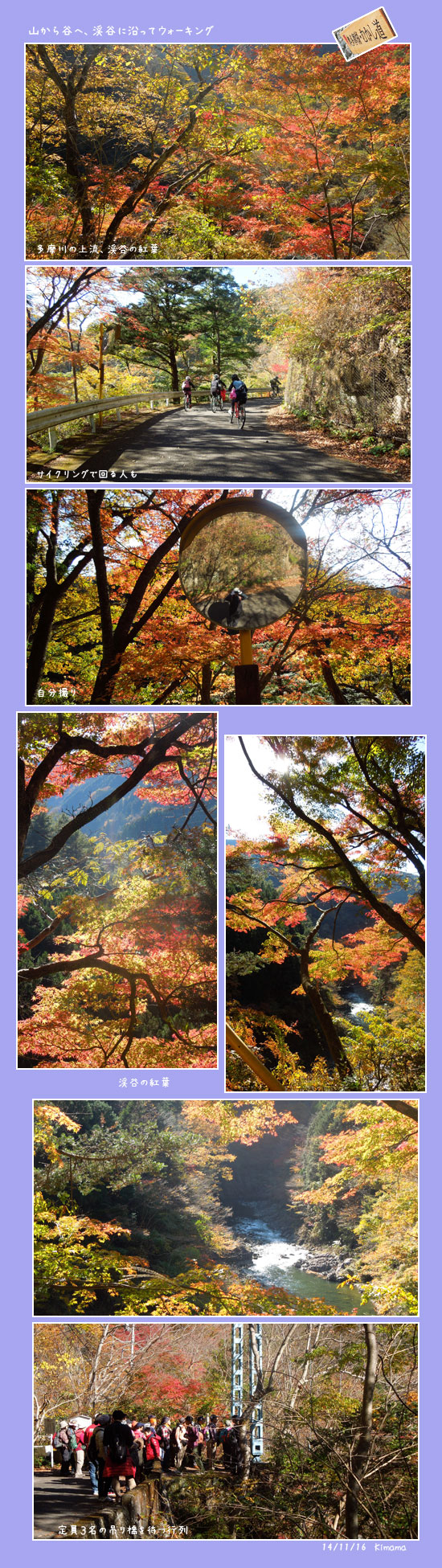 三度の奥多摩紅葉、「むかし道」へ_c0051105_14423882.jpg