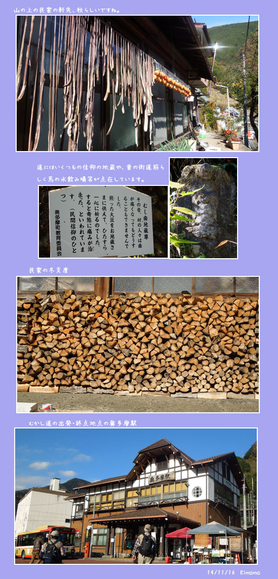 三度の奥多摩紅葉、「むかし道」へ_c0051105_1443174.jpg