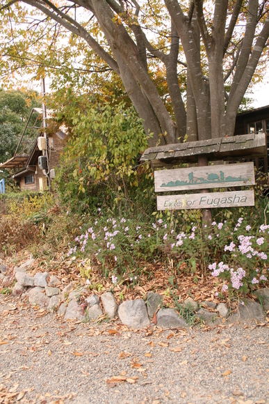 a0139007_1521346.jpg