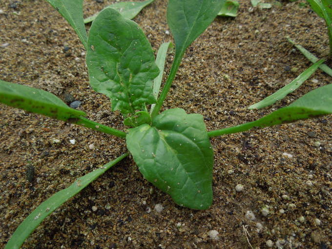 f0297809_18512552.jpg
