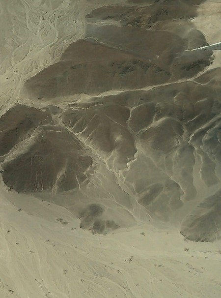 e0082110_1154422.jpg