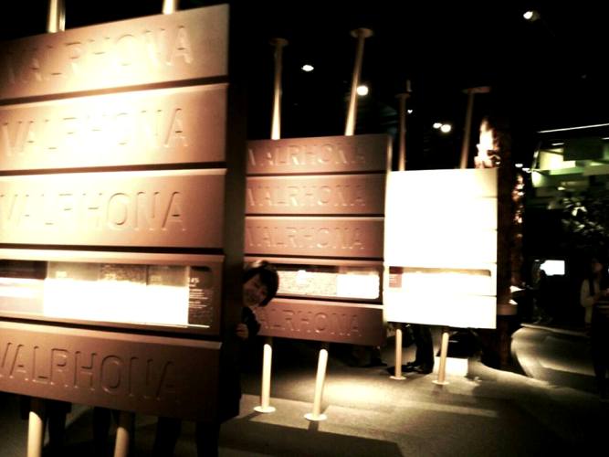 e0082110_1303991.jpg