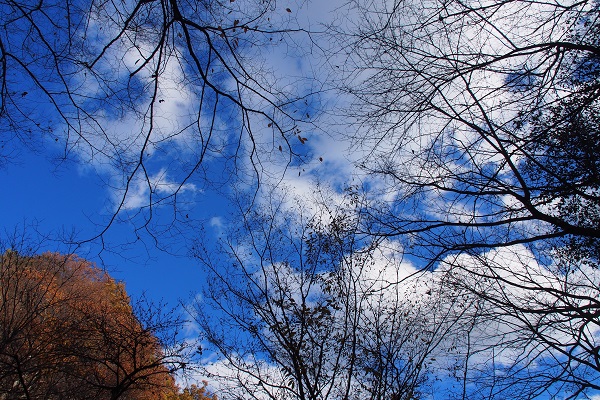 a0213011_15112513.jpg