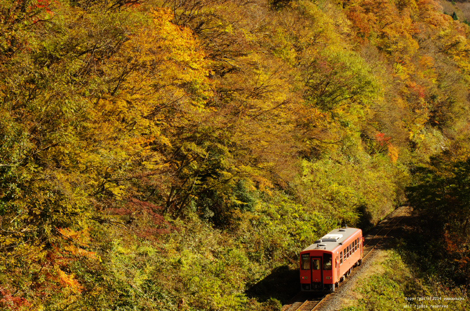 紅葉の峠道を_d0309612_21354869.jpg