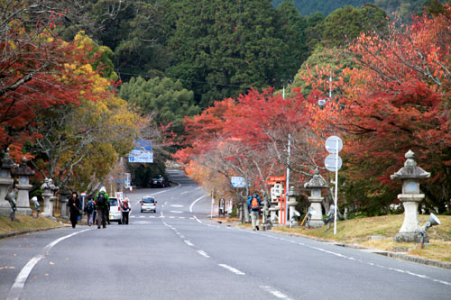 e0048413_20412143.jpg