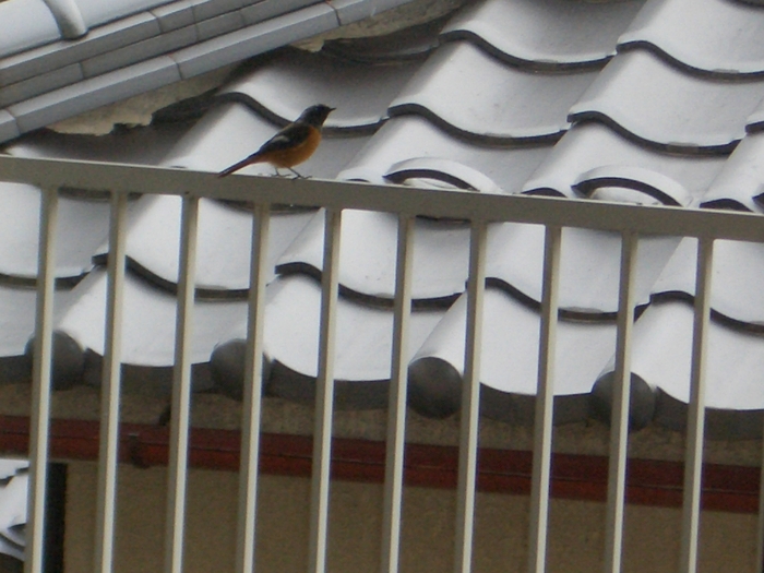 e0234924_2124187.jpg
