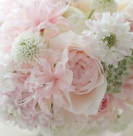 花の写真一枚 _a0042928_23275147.jpg