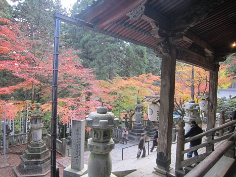 秋の岐阜_b0177436_18234514.jpg