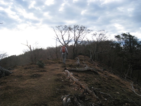 c0077338_5595569.jpg