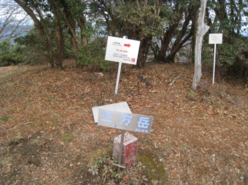 c0077338_602999.jpg