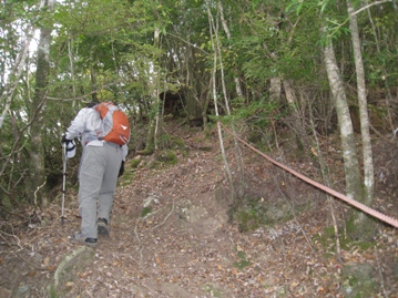 c0077338_615775.jpg