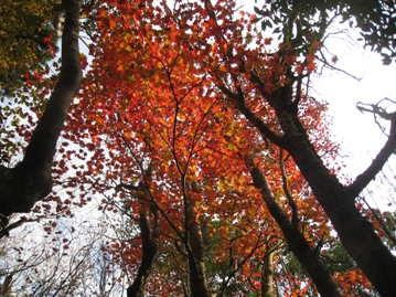 c0077338_62596.jpg