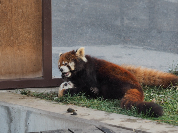 a0149740_21473168.jpg