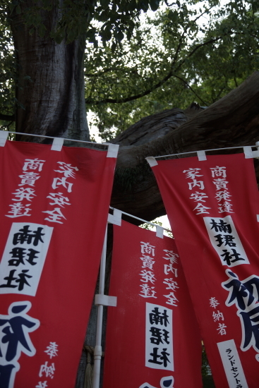 住吉大社 ～紅色寸景～_c0303246_20530711.jpg