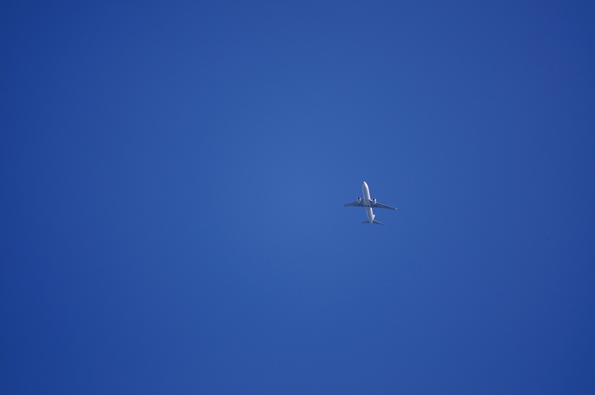 f0224648_1191135.jpg