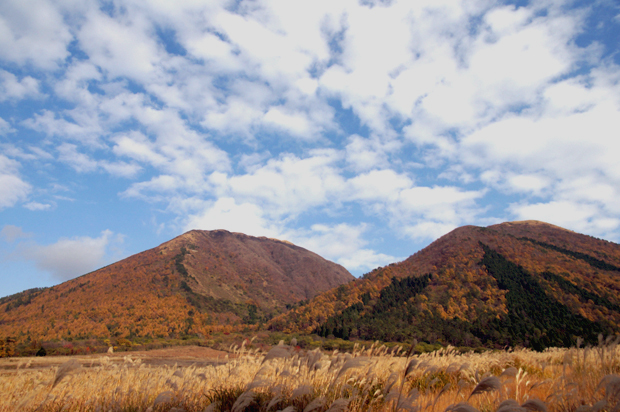 f0214649_330514.jpg