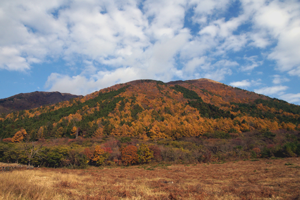 f0214649_3322628.jpg