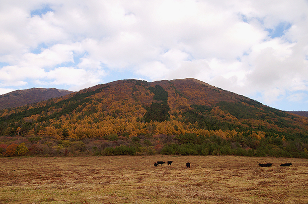 f0214649_3335118.jpg