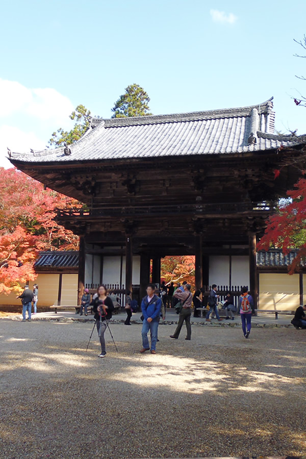 ぶらり京都-72 [高雄のもみじ・高尾山 神護寺]_f0190950_1722524.jpg