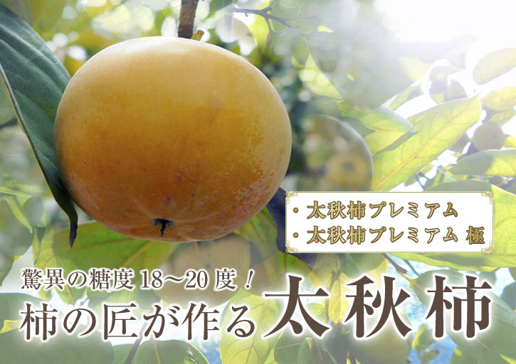太秋柿 まだ間に合う!!極甘太秋柿をお届けします!!_a0254656_1725063.jpg