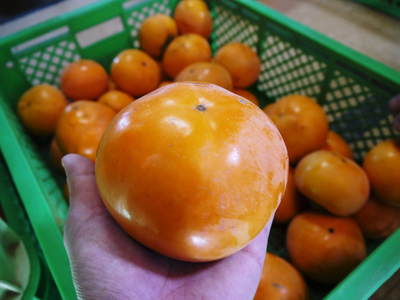 太秋柿 まだ間に合う!!極甘太秋柿をお届けします!!_a0254656_19181459.jpg