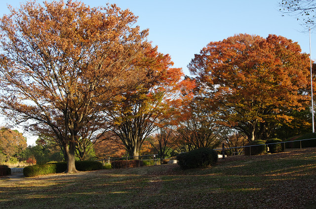 c0080357_11582672.jpg