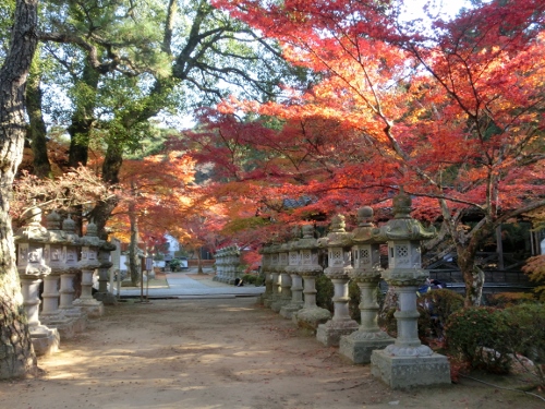 仏通寺の紅葉を愛でてきました_c0328559_2015631.jpg