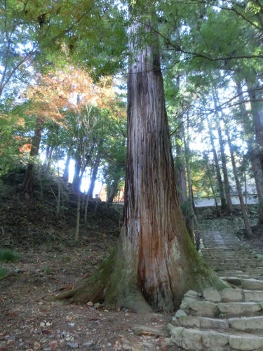 仏通寺の紅葉を愛でてきました_c0328559_2024532.jpg