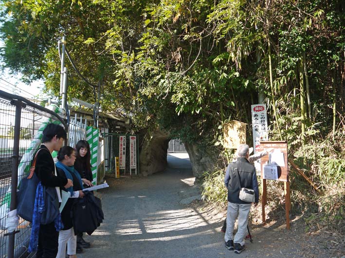 緑の洞門（北鎌倉駅沿いの岩塊・トンネル）保存で署名開始_c0014967_7521624.jpg