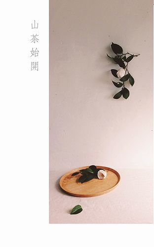 『山茶始開』展　在廊のお知らせ　_c0089967_08022169.jpg