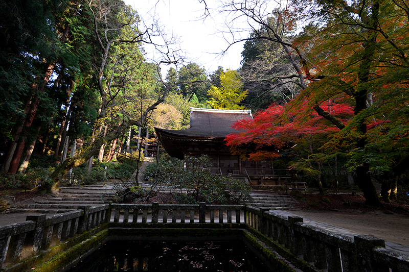 女人高野　紅葉_c0317868_18382258.jpg