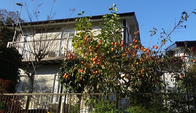 ホビーハウスコネールの企画展へ 私の部屋へようこそ 愛を込めて２