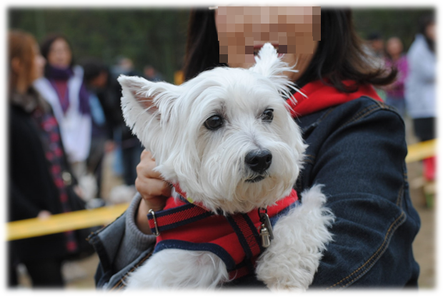 b0242873_00365771.png