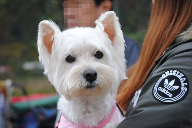 b0242873_00511729.png