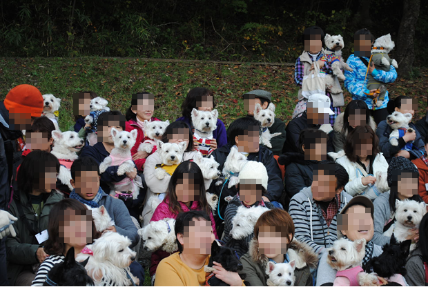b0242873_01551689.png
