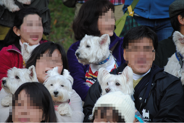 ♪ ダニエル ウエスティパーティ2014～集合写真～ヽ(*^^*)ノ ♪_b0242873_01560400.png