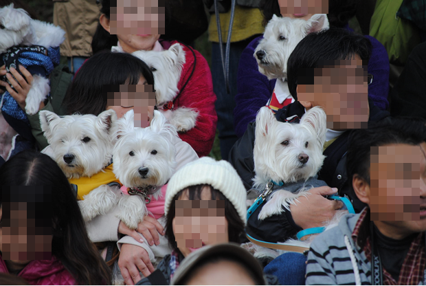 b0242873_01570749.png