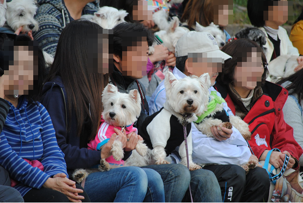 b0242873_01572214.png