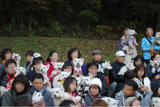 b0242873_02243850.png