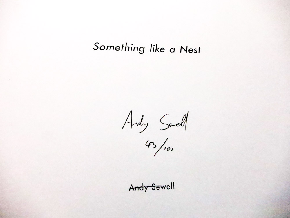 Andy Sewell 「Something like a Nest」_c0016177_10214496.jpg