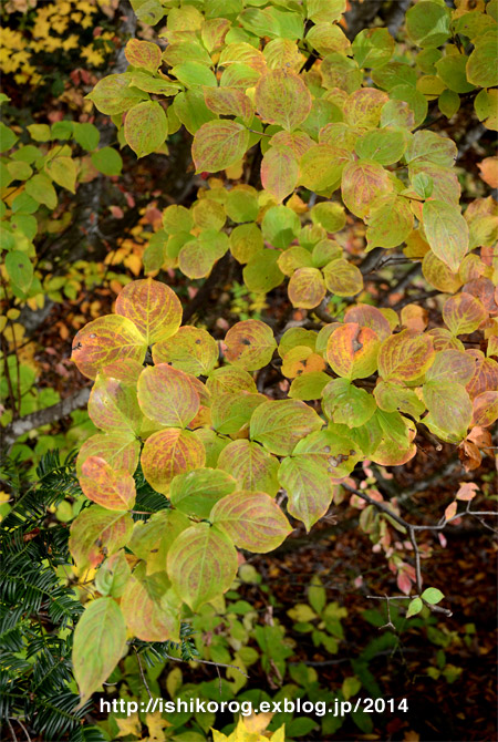 a0223379_0264788.jpg