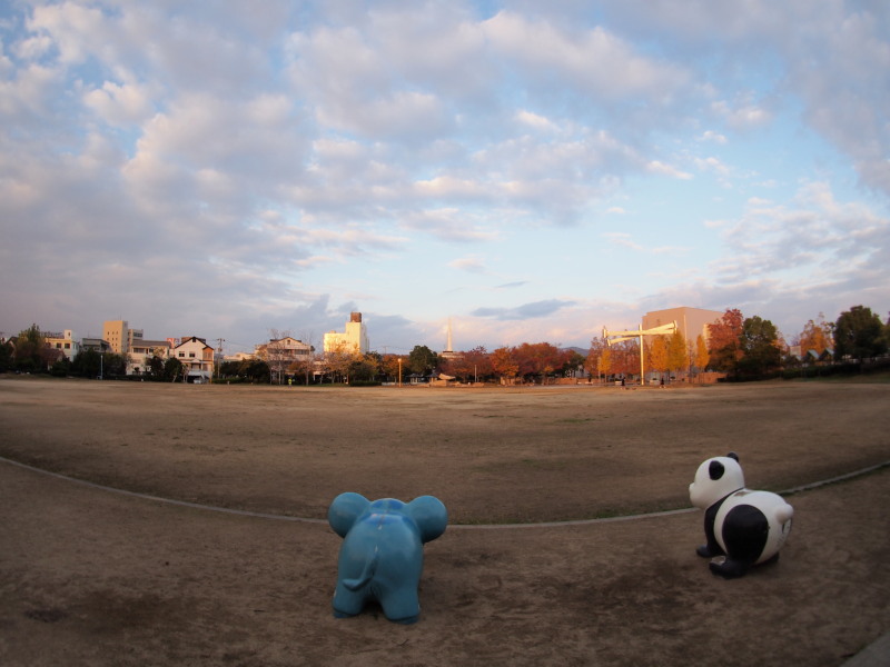 ちょっと公園 0980_c0254479_21292896.jpg