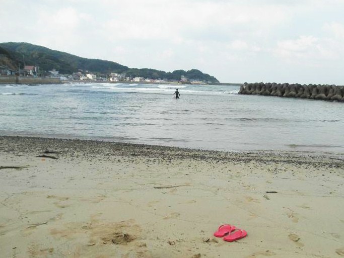 f0101679_43083.jpg