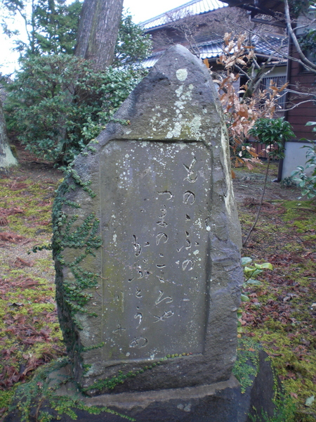 平戸・島原・天草(17)延慶寺～河内浦城跡_c0013687_23302251.jpg