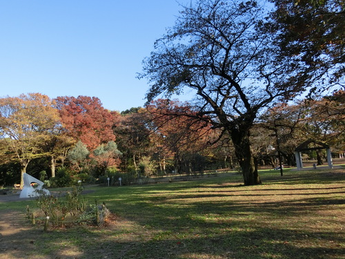 a0319693_933538.jpg