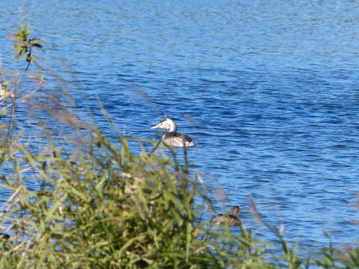 c0324393_20531220.jpg