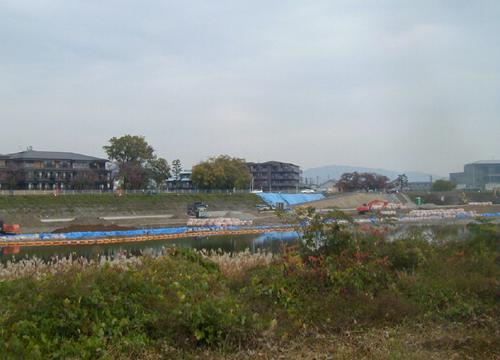 d0053294_05782.jpg