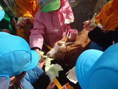 c0212598_1271634.jpg