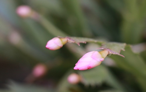 a0123003_22594488.jpg